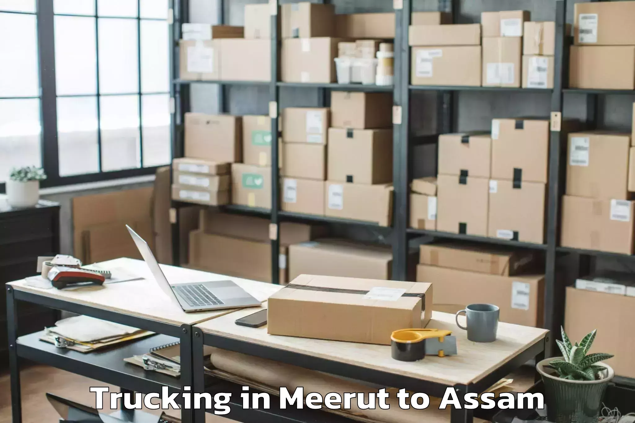 Book Meerut to Nazira Trucking Online